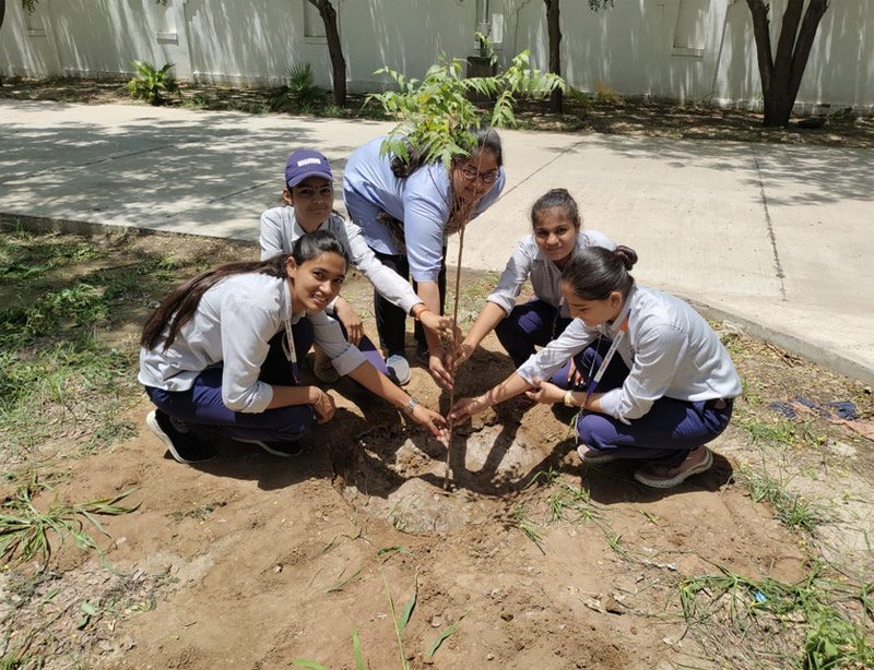 World Environment Day Celebration